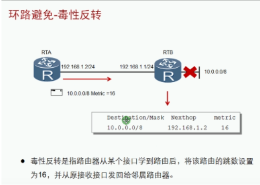 image-20240219163132182